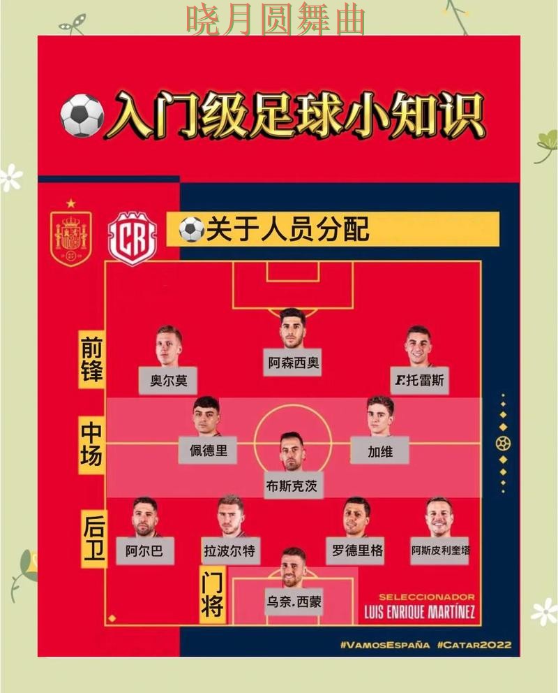 世界杯买球官网官网信息怎么辨别实用指南